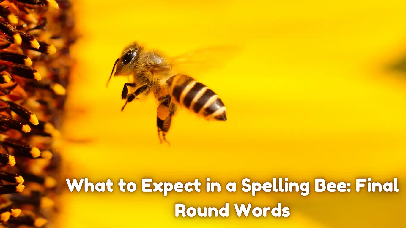 Spelling Bee Answers