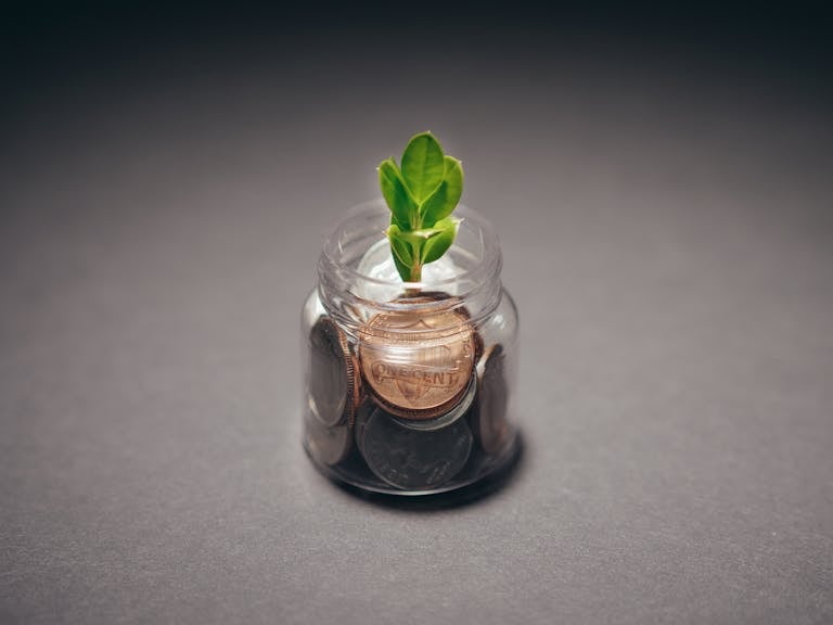 Buscrs: A Complete Guide to Understanding, Benefits, Use Cases, and Future Potential 2026 Green plant growing from a jar filled with coins, symbolizing financial growth and investment.