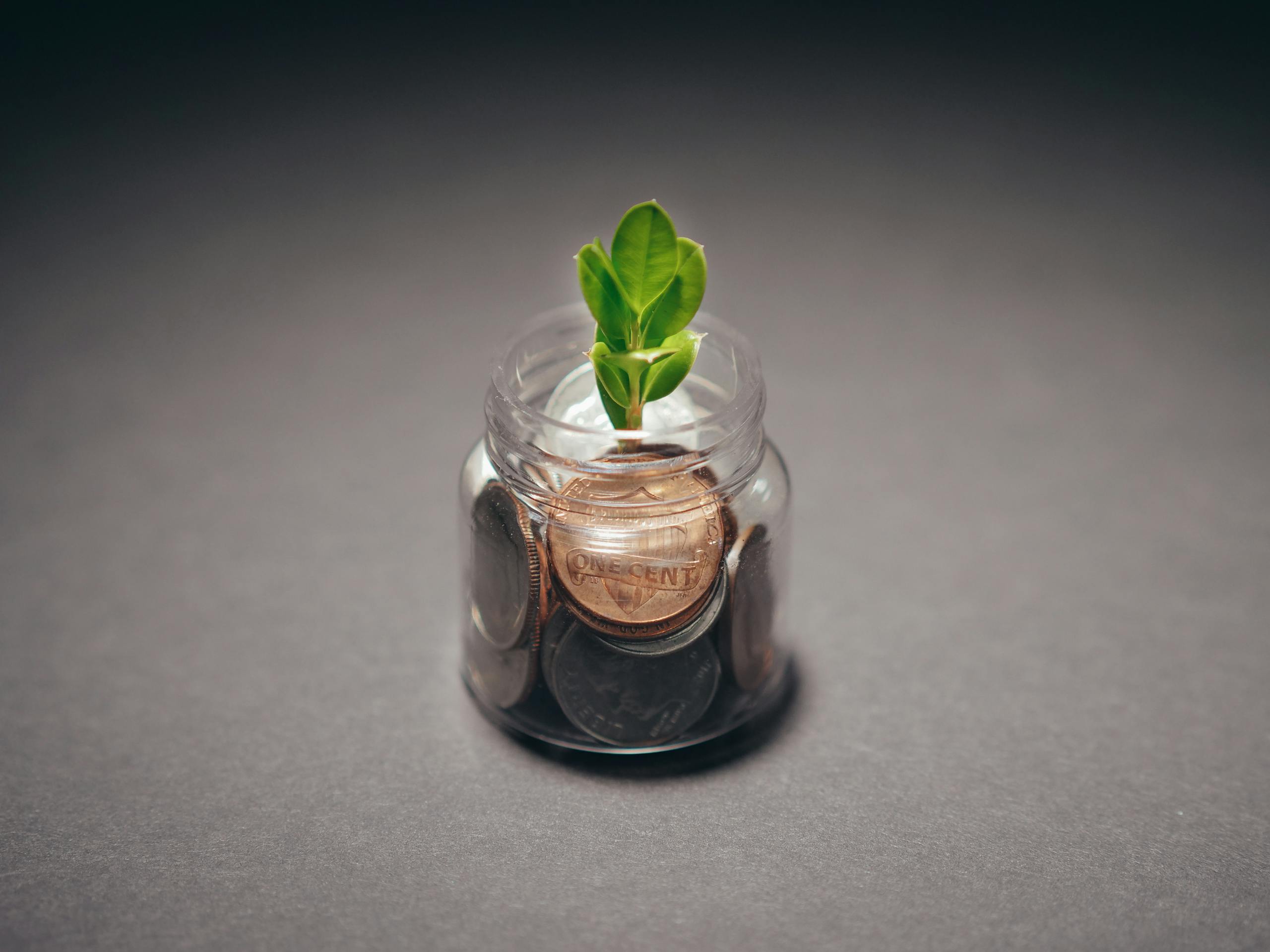 Buscrs: A Complete Guide to Understanding, Benefits, Use Cases, and Future Potential 2026 Green plant growing from a jar filled with coins, symbolizing financial growth and investment.