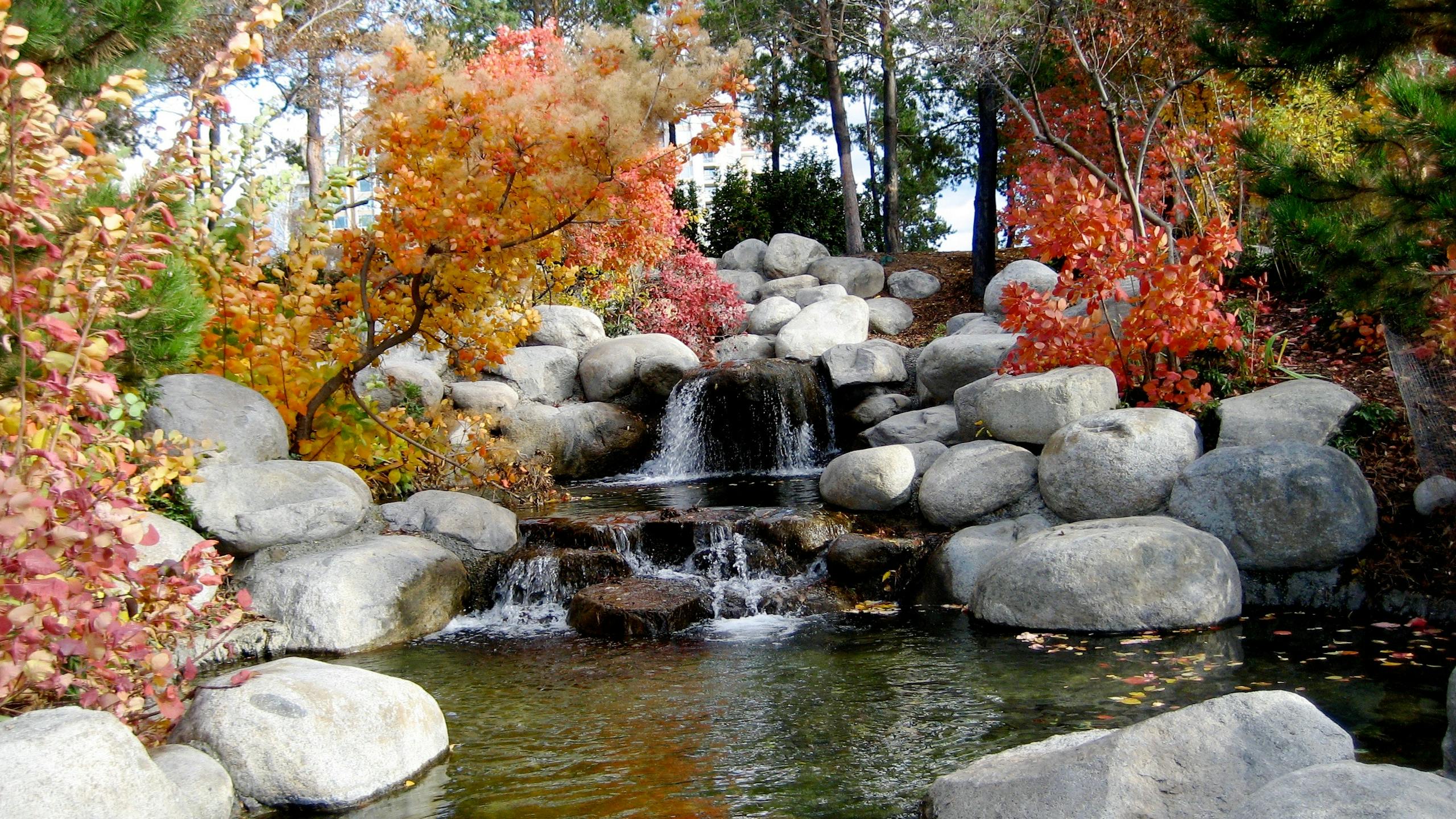 Valplekar Beautiful autumn stream flowing through a peaceful rock garden surrounded by vibrant foliage.