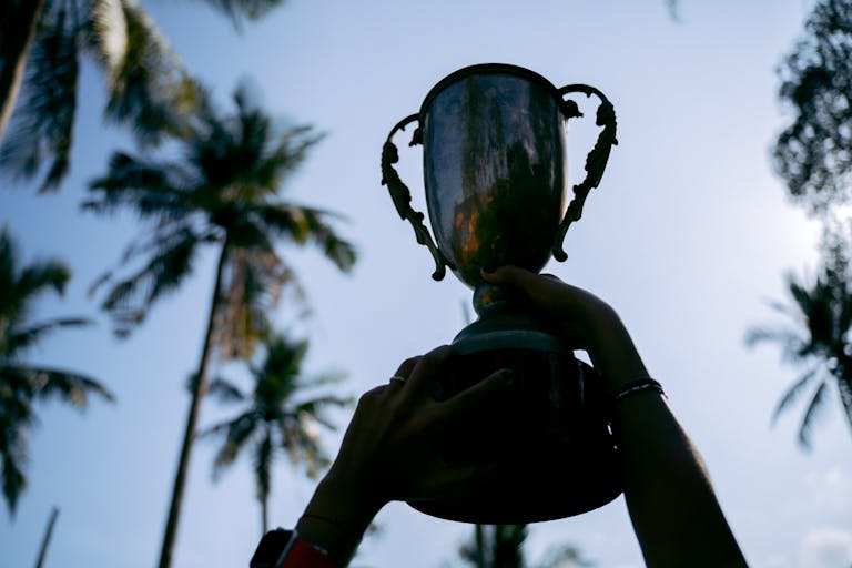 Vohio Champion Trees Silhouetted hands raise a trophy against a tropical palm tree backdrop, symbolizing victory.