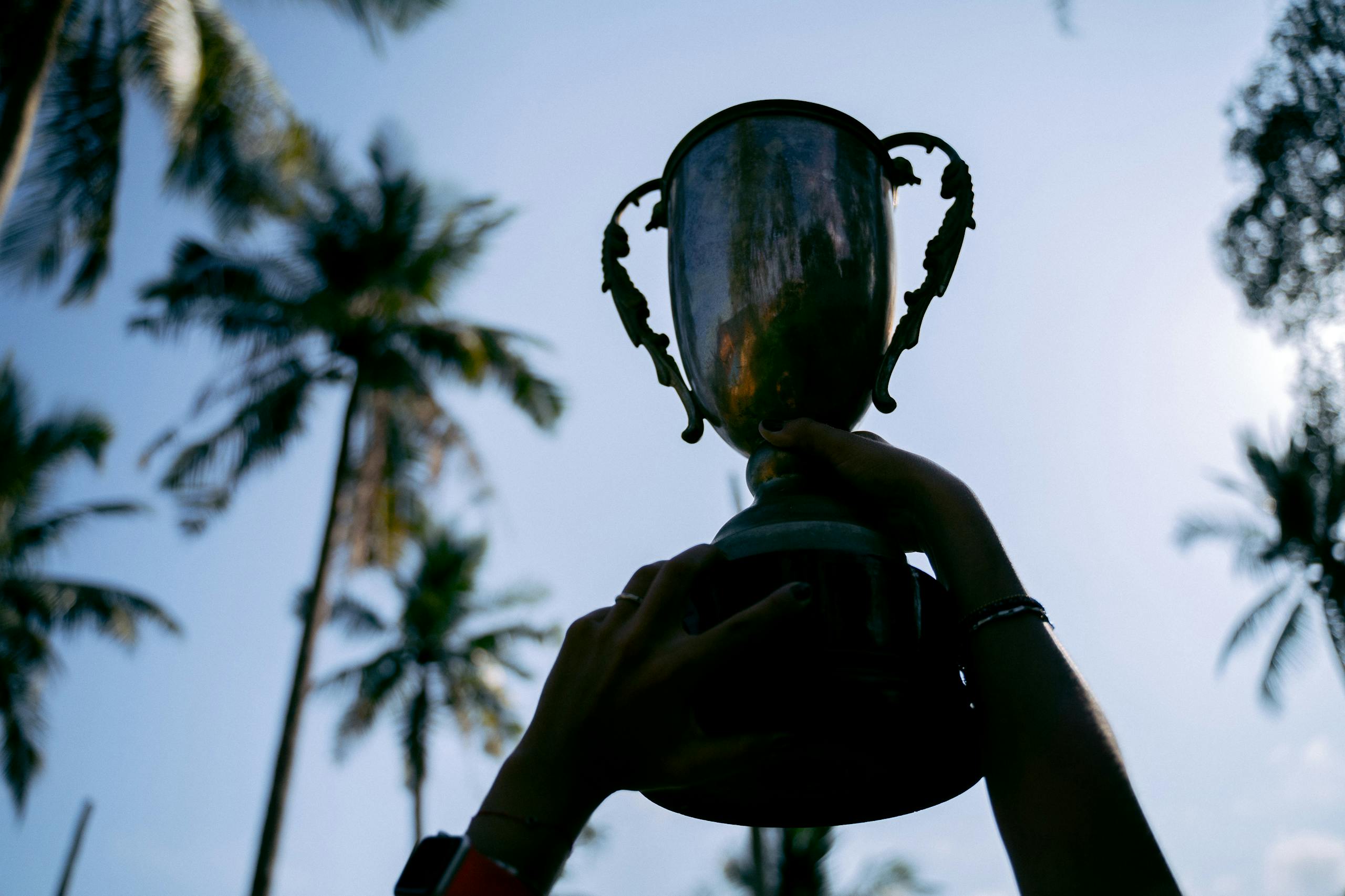 Vohio Champion Trees Silhouetted hands raise a trophy against a tropical palm tree backdrop, symbolizing victory.