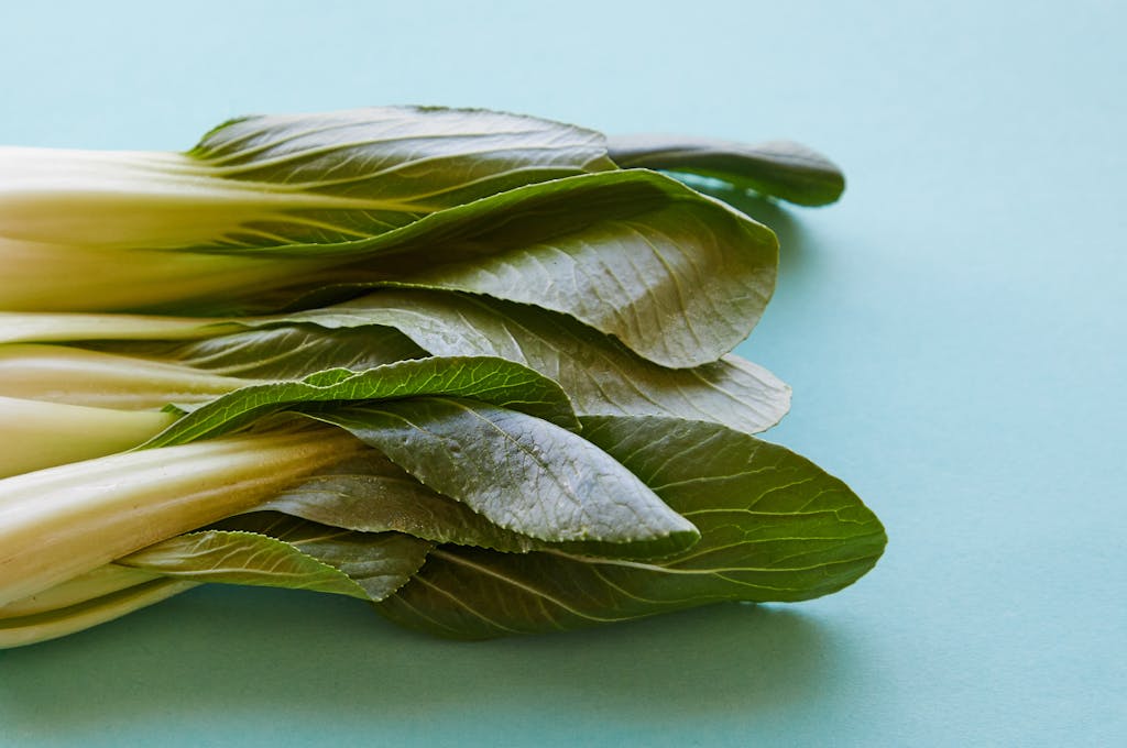 Hormita Top view of fresh pok choi with ripe verdant leaves on thick stems on blue background