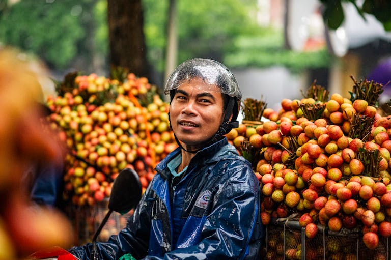 Bac Stock vibrant scene of a lychee vendor in Bac Giang, Vietnam during harvest season.