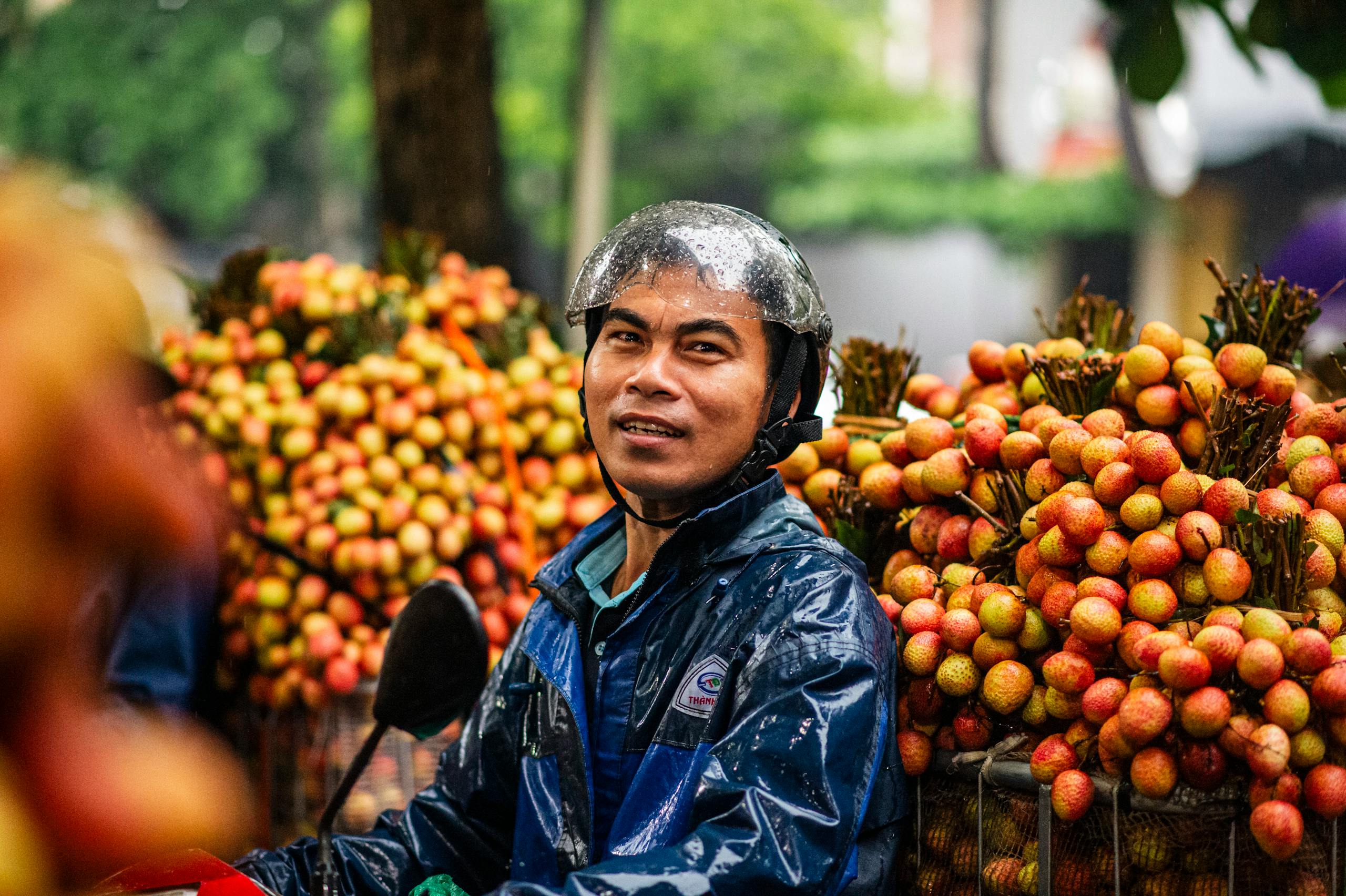 Bac Stock vibrant scene of a lychee vendor in Bac Giang, Vietnam during harvest season.